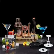 Cocktail Shaker Set with 13 Accesories and Bar Salt Rimmer,Bar Set Bartender Kit
