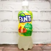 Coca-Cola Okinawa Limited Shekwasha Citrus Fanta Best Flavor 500ml × 24 bottle