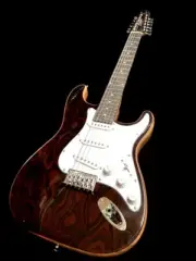 NEW CUSTOM FULL-SIZE 12 STRING ST ELECTRIC GUITAR CURLY BURL MAPLE & GIG BAG