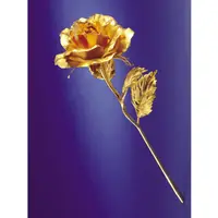 在飛比找PChome24h購物優惠-純金 玫瑰＆康乃馨