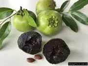 Buy Black Sapote Superb Grafted Tree in Australia Diospyros digyna