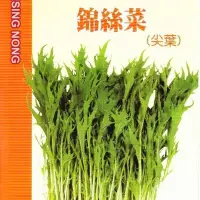 在飛比找Yahoo!奇摩拍賣優惠-錦絲菜(京都水菜) 【蔬果種子】興農牌中包裝 每包約1公克