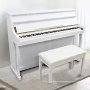 daiwanlu Digital Piano 88 Keys Weighted Home Piano and Piano Bench ，Triple Pedals Supports， Home Piano for Adults Children and Beginners-Black-White (Color : White)