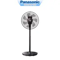 在飛比找蝦皮商城優惠-Panasonic國際牌 14吋 nanoeX 溫感DC遙控