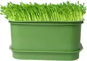 Bean Sprouts Tray,Seed Germination Tray,Bean Sprouts Sprouting Tray,Seedling Tra