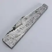 181g Muonionalusta meteorite slice R1995