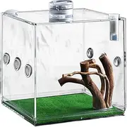 Acrylic Clear Terrarium Box, Small Pet Breeding Habitat, 2.17x2.17x2.17 Inches, Easy Access Lid, Jumping Spider Enclosure for Spiders, Beetles, Snails, Lizards, Transparent