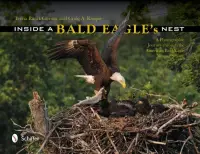 在飛比找博客來優惠-Inside a Bald Eagle’s Nest: A 