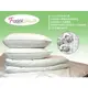 FotexCotton防塵蹣寢具100%純棉(與3M防蟎同級)雙人防蹣床包組/防螨床組