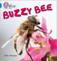 在飛比找博客來優惠-Buzzy Bees