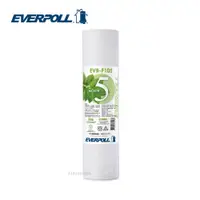 在飛比找松果購物優惠-EVERPOLL EVB-F105 10英吋5微米PP濾芯 