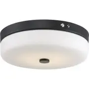 Nuvo Lighting 62/982 Brentwood LED 15 inch Aged Bronze Flush Mount Ceiling Light