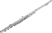 FL-100N Closed Hole C Flute 16 Keys Cupronickel Nickel-Plated Wind Instrument with Carry Case Cleaning Cloth Gloves Scre River Cleaning Rod Silver One Size