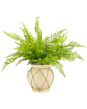 Creative Displays Green Fern Bush
