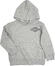 [HARLEY-DAVIDSON] Little Boys' B&S Toddler Fleece Terry Pullover Hoodie - Gray