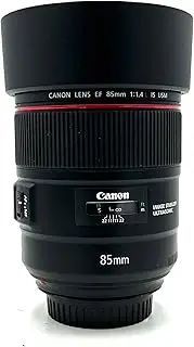 Canon EF 85mm f/1.4 L IS USM