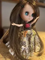 Custom Blythe Basaak Doll Brand New Never Used ￼￼ Box Slightly Damaged