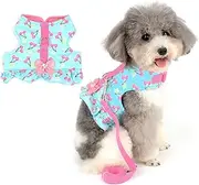 ZUNEA No Pull Small Dog Girl Harness Dress Escape Proof Cat Kitten Vest Harness Leash Set Step-in Soft Cotton Padded Cherry Printed Jacket Chihuahua Puppy Clothes with Bow for Walking Blue XS