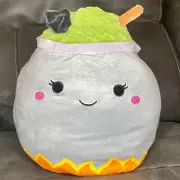 Squishmallow 12” Cauldron Witch Wexla & Johanna Flip-a-Mallow Halloween 2022