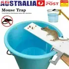 Mouse Trap Catch Rat Trap Catch Walk The Plank Humane Bucket Mice Auto Reset AU