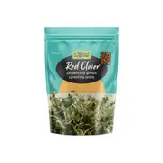 Red Clover Sprouting Seeds - 100g - Untamed Health