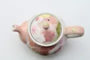 Seto ware Japanese tableware teapot teacup hand-painted floral desi From Japan