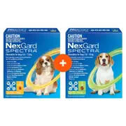 NexGard Spectra Chews For Small & Medium Dogs Bundle Bundle