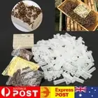 Beekeeping Tool Queen Rearing System Cultivating Box 120pcs Plastic Bee Cell Cup
