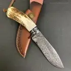 Damascus Survival Outdoor Camping Hunting Knife Fixed Blade Stag Antler w Sheath
