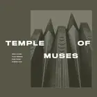 Stian Larsen, Colin Webster, Ruth Goller, Andre Temple of Muses (CD) (US IMPORT)