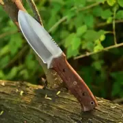 Fixed Blade Hunting Forged Tracker Knife 9.6 Inches Stainless Steel Razor Sharp