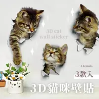 在飛比找momo購物網優惠-【貓貓帝國】3D貓咪壁貼-3款入(客廳 居家 防水壁貼 創意