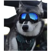 在飛比找蝦皮商城精選優惠-新款寵物小面罩眼鏡防水防雪軟鏡框護目鏡狗狗用品太陽鏡墨鏡 狗