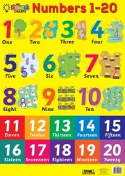 SMART CHART NUMBERS 1- 100 / 1 - 20