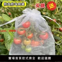 在飛比找樂天市場購物網優惠-【台灣公司 超低價】防蟲防鳥草莓保護套袋透水透氣防蟲紗網袋葡