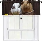 LHBWCVN Guinea Pigs Valances for Windows, Rod Pocket Window Treatment Drapes Farmhouse Kitchen Curtains Short Blackout Window Curtains for Living Room Bedroom Decor 54x18 Inch