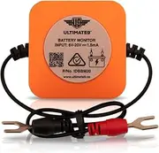 Ultimate9 IDBBM20L Bluetooth Lithium Battery Monitor, Orange