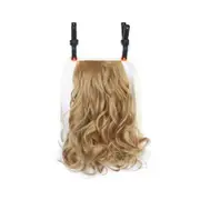 2 Pcs short curl pony hair heat resistant synthetic drawstring hair extensions ponytail for women