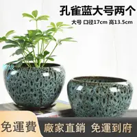 在飛比找樂天市場購物網優惠-【家用小花盆】新品花盆陶瓷特價家用清倉帶G托盤大號特大創意蘭