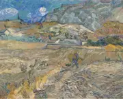 Van Gogh - Enclosed Field with Peasant Giclee Fine Art Print on Canvas 36"
