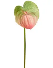 [Florabelle] Anthurium Lily Real Touch in Pink