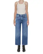 Agolde Ren High Rise Ankle Wide Leg Jeans in Fix