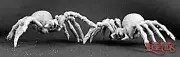 Reaper: Dark Heaven Legends: Giant Spiders(2) (metal)