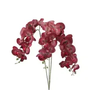 3Pcs 41" 9 Heads Artificial Orchid Stems Faux Phalaenopsis, Black Red