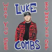 Luke Combs What You See is What You Get CD