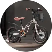 Professional Bicycles Light Bicycles Outdoor Bicycles Sports Bicycles Magnesium Alloy Frames