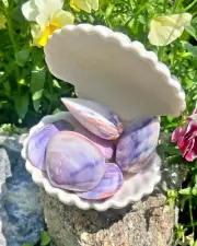 Wholesale 45pcs Polished Purple Clam Pair Shells 1-1.5" Bulk Lot Crafting Supply