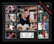 AUDREY HEPBURN FASHION ICON LIMITED EDITION 100 ONLY SIGNED & FRAMED MEMORABILIA
