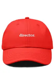 Dalix Director Embroidered Low Crown Cap at Nordstrom One Size