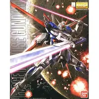 在飛比找蝦皮購物優惠-亞納海姆 SEED DESTINY MG 1/100 FOR